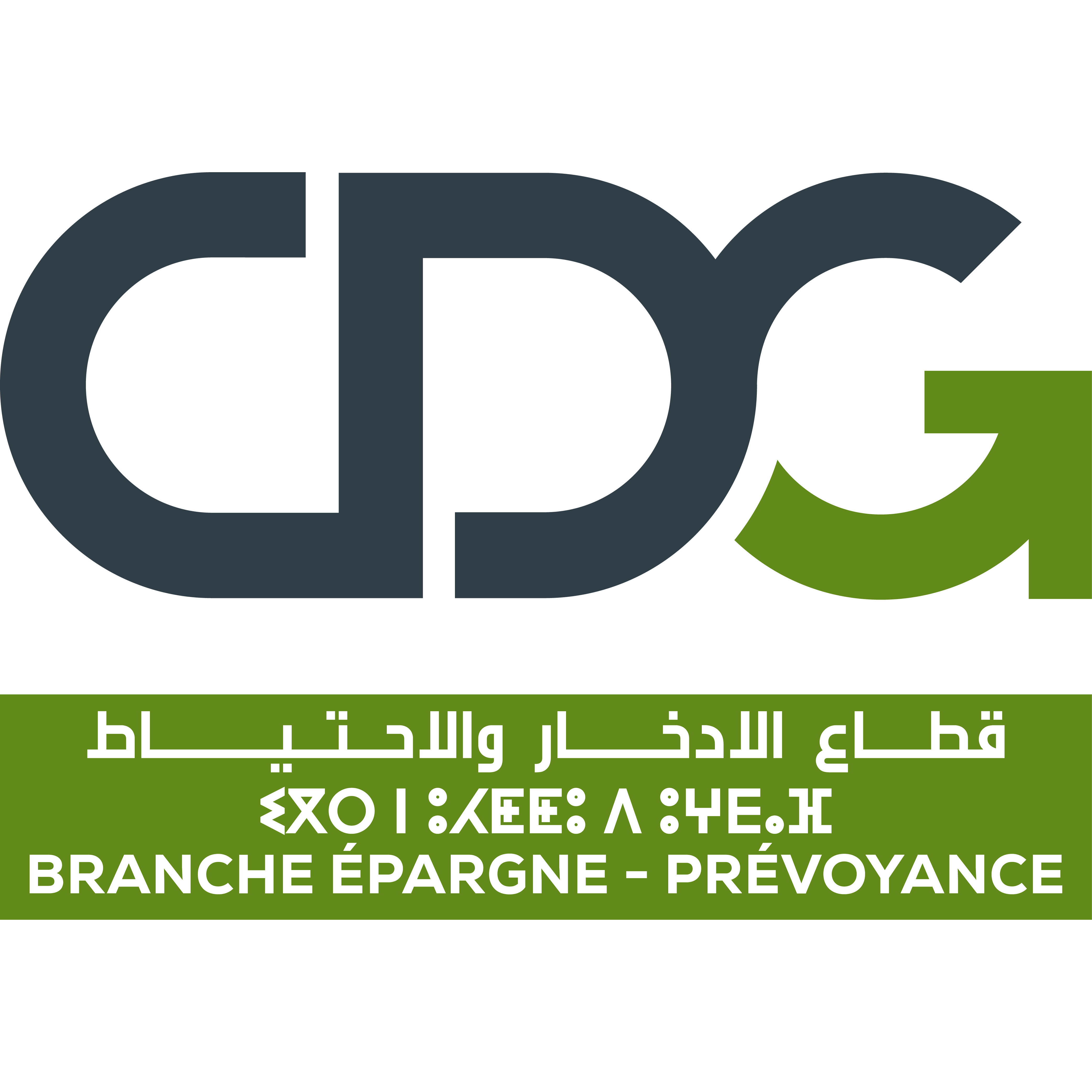 CDG-logo cnr-logo